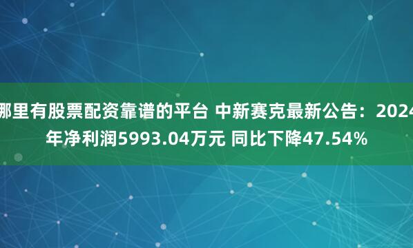 哪里有股票配资靠谱的平台 中新赛克最新公告：2024年净利润5993.04万元 同比下降47.54%