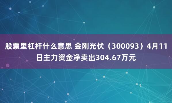 股票里杠杆什么意思 金刚光伏（300093）4月11日主力资金净卖出304.67万元