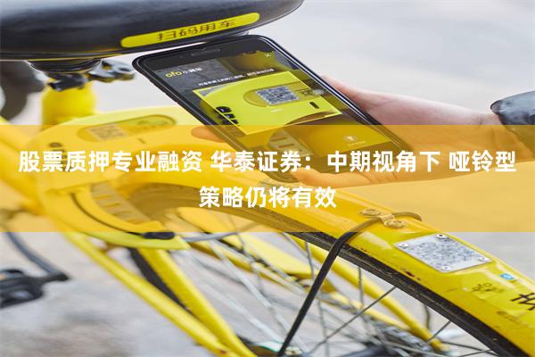 股票质押专业融资 华泰证券：中期视角下 哑铃型策略仍将有效