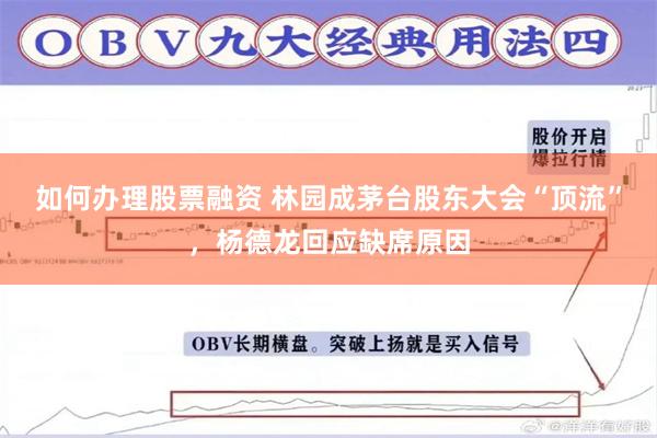 如何办理股票融资 林园成茅台股东大会“顶流”，杨德龙回应缺席原因
