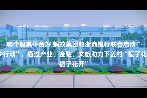 哪个股票平台好 蚂蚁集团和浙商银行联合启动“栀梦行动”，通过产业、金融、文旅助力下姜村“栀子花开”