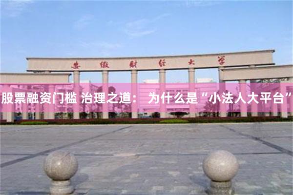 股票融资门槛 治理之道： 为什么是“小法人大平台”