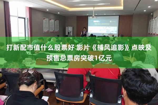 打新配市值什么股票好 影片《捕风追影》点映及预售总票房突破1亿元