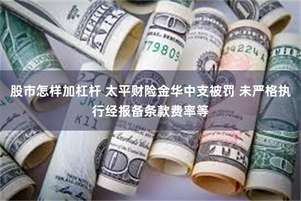 股市怎样加杠杆 太平财险金华中支被罚 未严格执行经报备条款费率等
