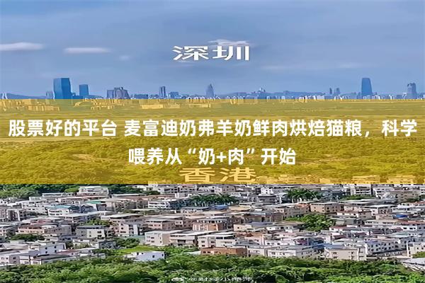 股票好的平台 麦富迪奶弗羊奶鲜肉烘焙猫粮,科学喂养从“奶+肉”开始