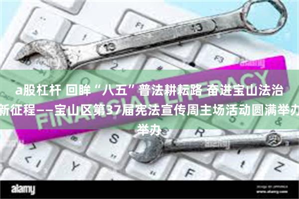 a股杠杆 回眸“八五”普法耕耘路 奋进宝山法治新征程——宝山区第37届宪法宣传周主场活动圆满举办